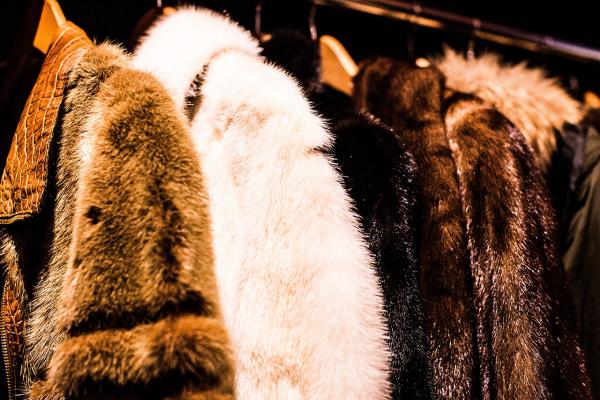 Fur coats, multi colored