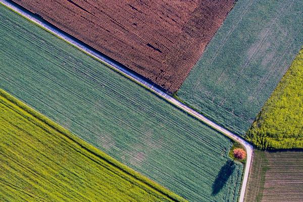 Agriculture & AgTech Industry Image