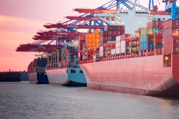 International Trade & Investment Practice Image