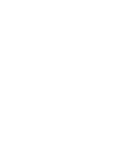 AFS Fox icon