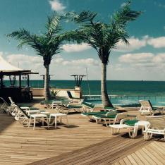 View of the ocean and palmtrees from a beach resort