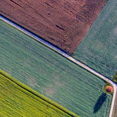 Agriculture & AgTech Industry Image