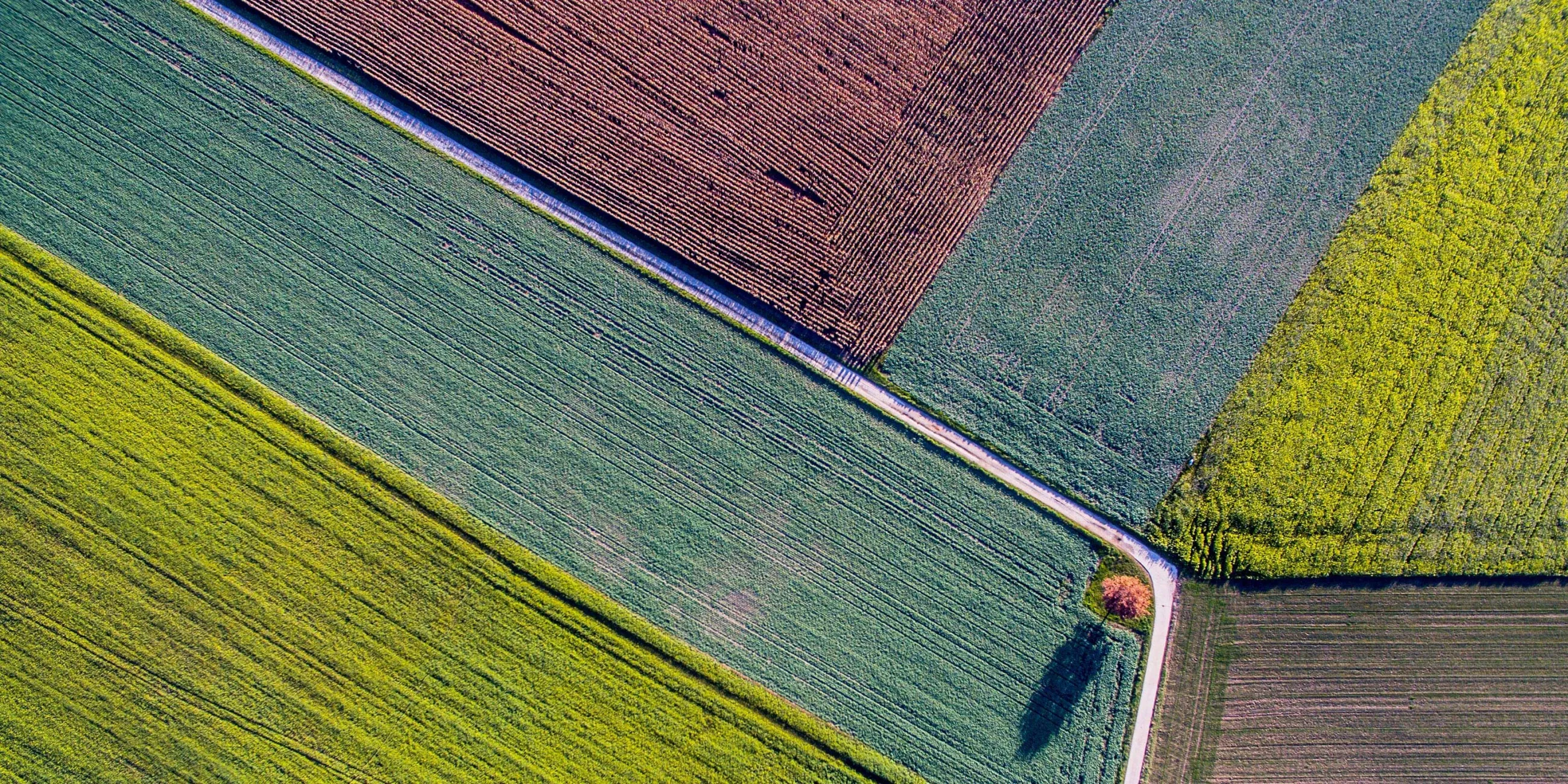 Agriculture & AgTech Industry Image