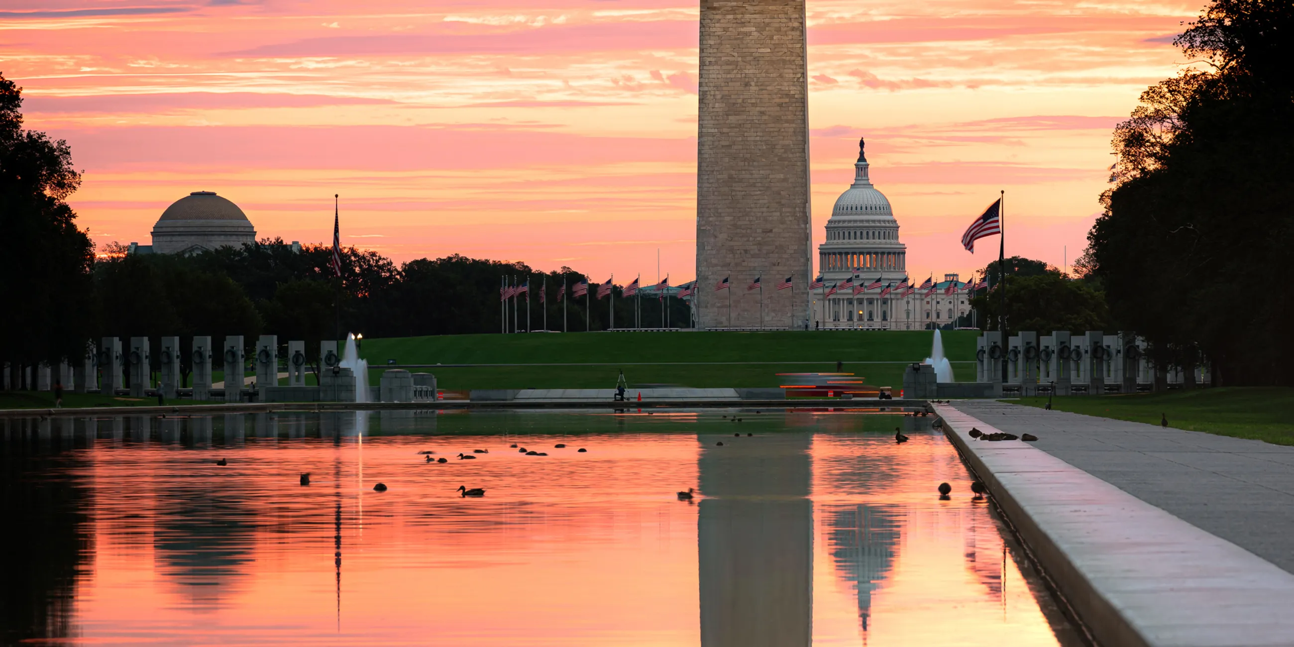 Washington DC